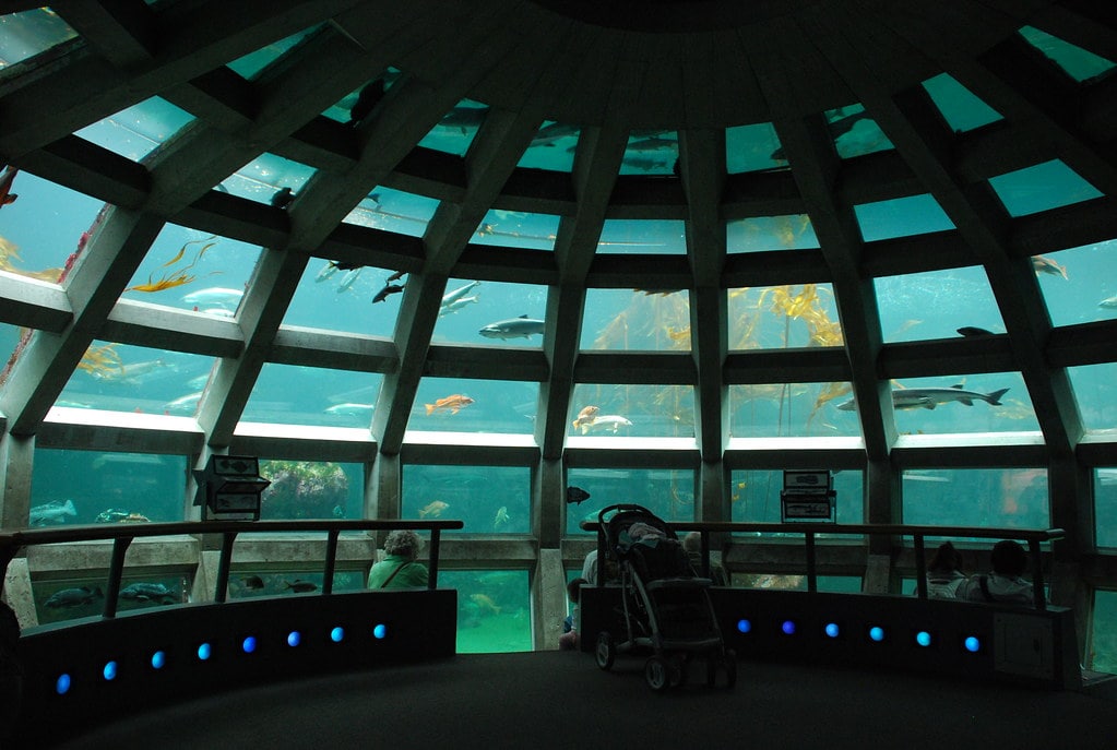 Seattle Aquarium-min